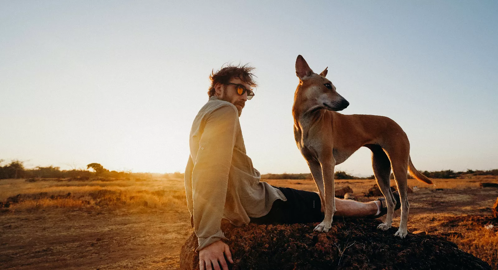 Veterinaire Recruiter Werkgevers